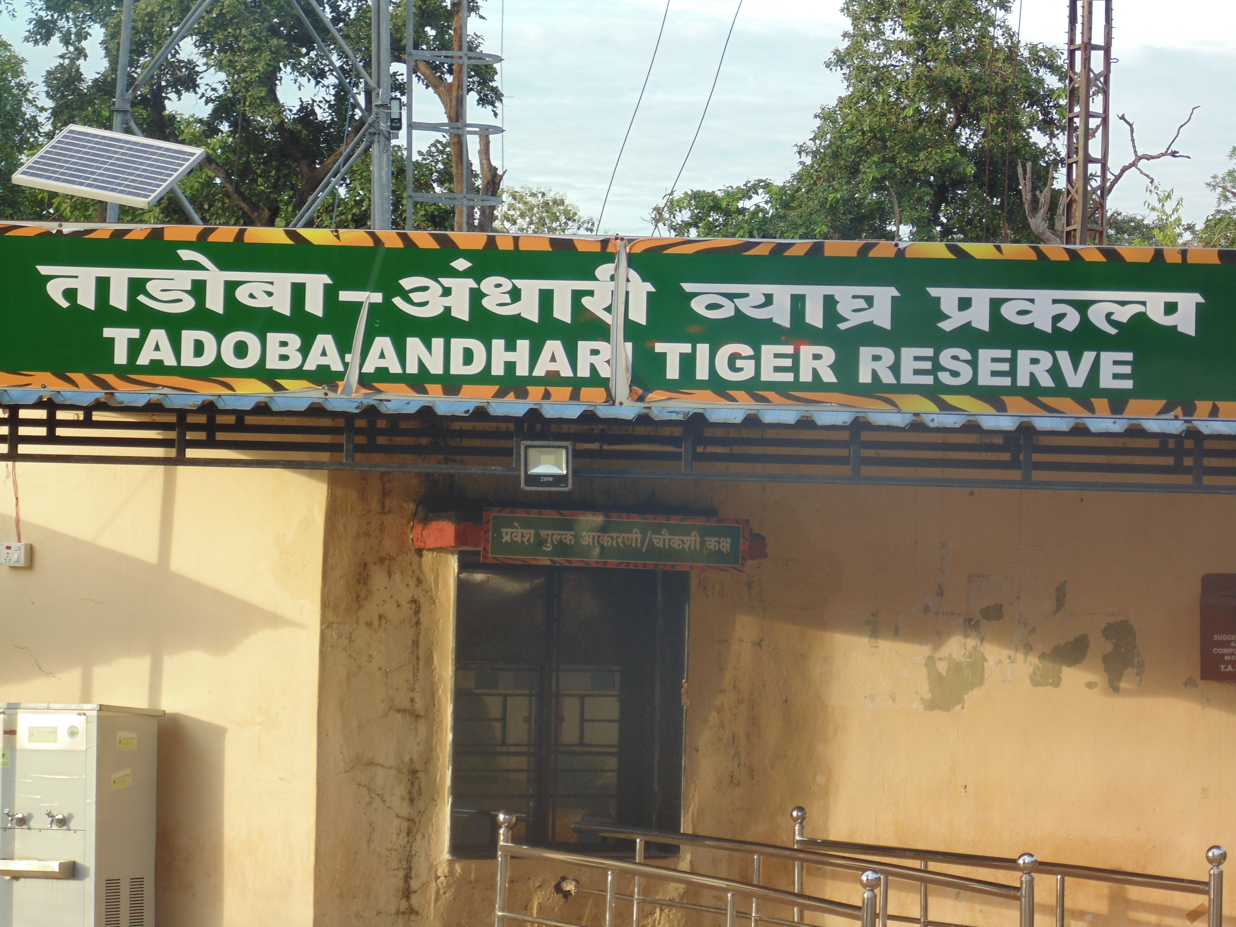 Wildlife Of Tadoba
