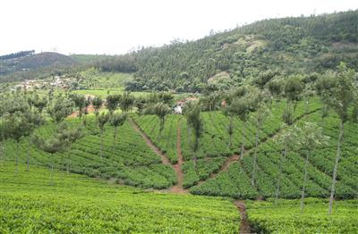 Exotic Landmarks of Tamil Nadu